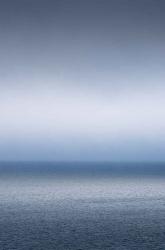 Bay of Fundy Fog | Obraz na stenu
