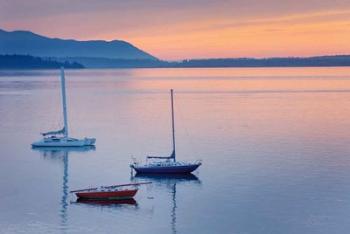 Bellingham Bay | Obraz na stenu