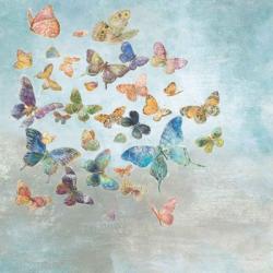 Beautiful Butterflies v3 Square | Obraz na stenu