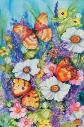 Butterfly Garden | Obraz na stenu