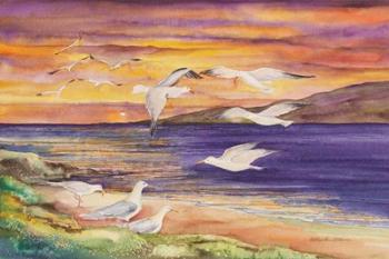 Seagull Sunset | Obraz na stenu