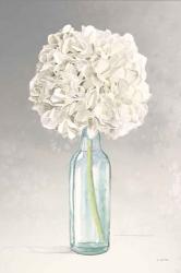 Tranquil Blossoms II | Obraz na stenu