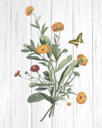 Botanical Bouquet on Wood IV | Obraz na stenu