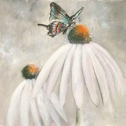 Butterflies are Free I | Obraz na stenu