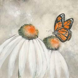 Butterflies are Free II | Obraz na stenu