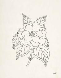 Gardenia Line Drawing | Obraz na stenu