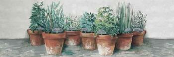 Pots of Herbs II Cottage v2 | Obraz na stenu