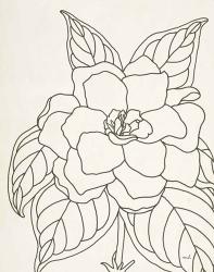 Gardenia Line Drawing Crop | Obraz na stenu