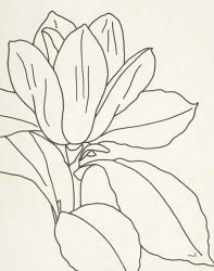 Magnolia Line Drawing v2 Crop | Obraz na stenu