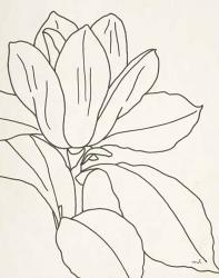 Magnolia Line Drawing v2 Crop | Obraz na stenu