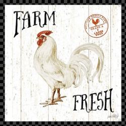 Free Range Fresh III Checker Border | Obraz na stenu