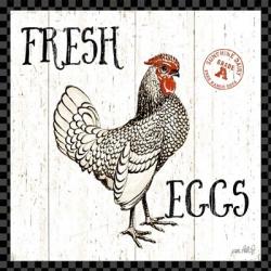 Free Range Fresh IV Checker Border | Obraz na stenu