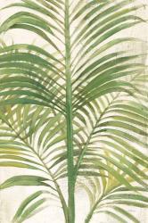 Palms II Bright | Obraz na stenu