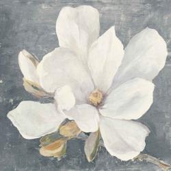 Serene Magnolia Gray | Obraz na stenu