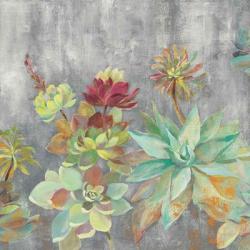 Succulent Garden Gray Crop | Obraz na stenu
