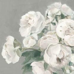 Peonies on Gray | Obraz na stenu