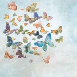 Beautiful Butterflies v3 Sq Light | Obraz na stenu