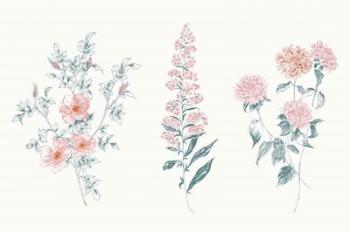 Flowers on White IX Contemporary Bright | Obraz na stenu