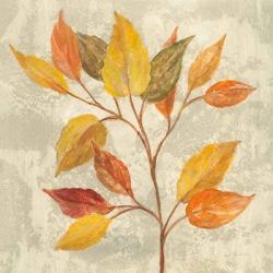 November Leaves II | Obraz na stenu