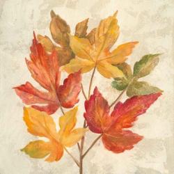 November Leaves IV | Obraz na stenu