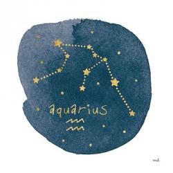 Horoscope Aquarius | Obraz na stenu