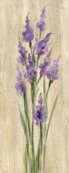 Farm Flower II | Obraz na stenu