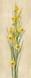 Farm Flower III | Obraz na stenu