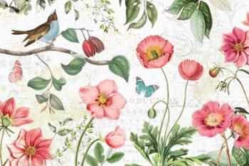 Studio Botanicals I | Obraz na stenu