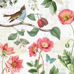 Studio Botanicals II | Obraz na stenu