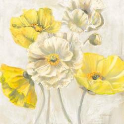 Gold and White Contemporary Poppies Neutral | Obraz na stenu