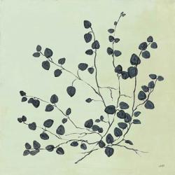Botanical Study VII Sage | Obraz na stenu