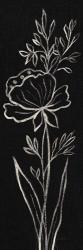 Black Floral III Crop | Obraz na stenu