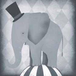 Circus Elephant Gray | Obraz na stenu