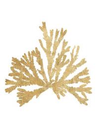 Pacific Sea Mosses IV Gold | Obraz na stenu