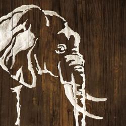 White Elephant on Dark Wood | Obraz na stenu