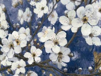 Cherry Blossoms I Indigo Crop | Obraz na stenu