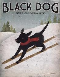 Black Dog Ski | Obraz na stenu