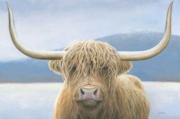 Highland Cow | Obraz na stenu
