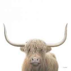 Highland Cow Sepia Sq | Obraz na stenu