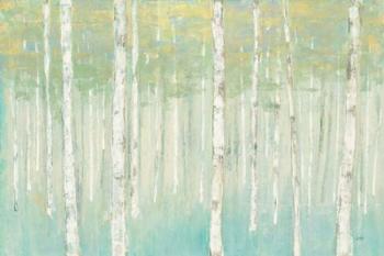 Birches at Sunrise | Obraz na stenu