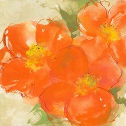 Tangerine Poppies II | Obraz na stenu