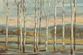 Silver Forest | Obraz na stenu