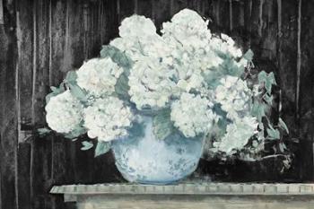 White Hydrangea on Black Crop | Obraz na stenu