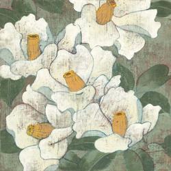 White Flowers I Dark | Obraz na stenu