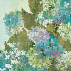Grandiflora Bloom | Obraz na stenu