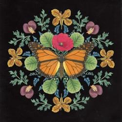 Butterfly Mandala I Black | Obraz na stenu