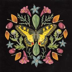 Butterfly Mandala III Black | Obraz na stenu