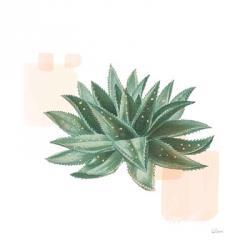 Desert Color Succulent II | Obraz na stenu