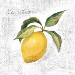 Le Citron on White | Obraz na stenu