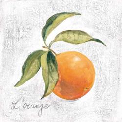L Orange on White | Obraz na stenu